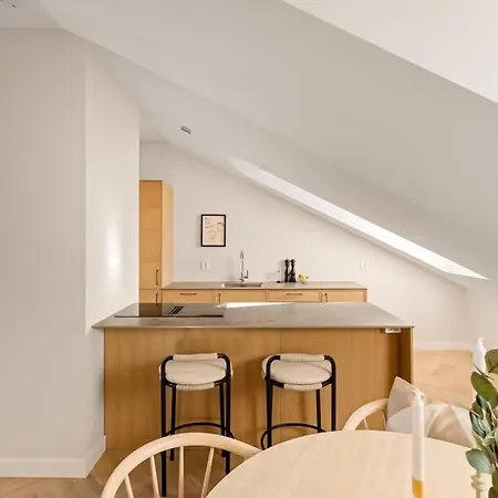 Dinbnb Gruenerlokka I Penthouse With Private Rooftop I 2 Bedrooms & 2 Bathrooms Apartment