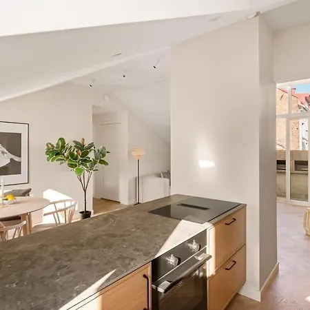 Dinbnb Gruenerlokka I Penthouse With Private Rooftop I 2 Bedrooms & 2 Bathrooms * Oslo
